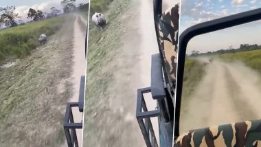 Rhino Viral Video: काझिरंगा नॅशनल पार्क मध्ये थोडक्यात बचावले पर्यटक, गेंड्याने केला टुरिस्ट जीपचा 2 किमी पर्यंत पाठलाग; पहा थरारक क्षणांचा व्हिडीओ